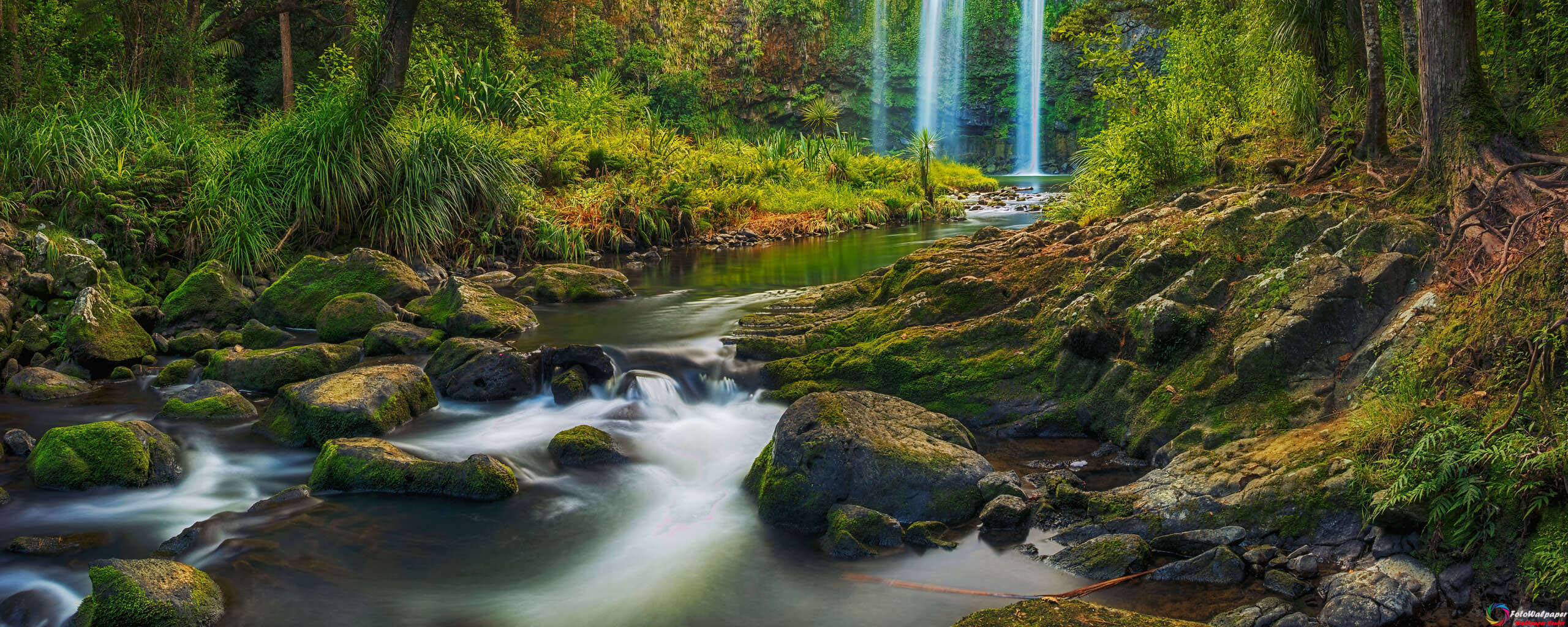 دانلود والپیپر آبشاری در میان جنگل